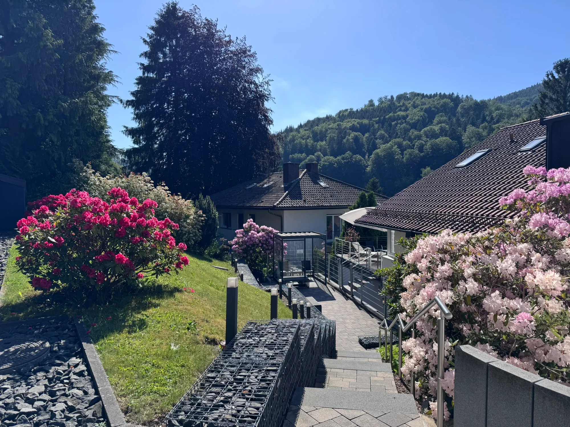 Gartenbereich der Sanima Klinik am Mayenberg in Bad Herrenalb mit blühenden Rhododendren